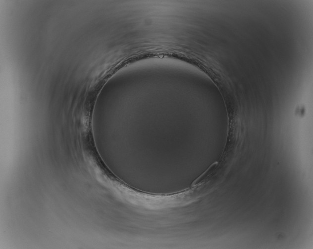 X0000113370039200909221234