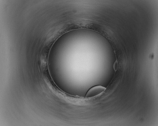 X0000113370040200909221234