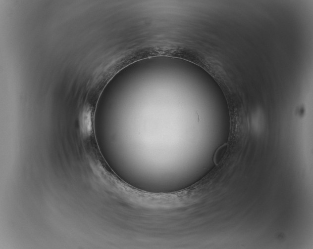 X0000113370042200909221233