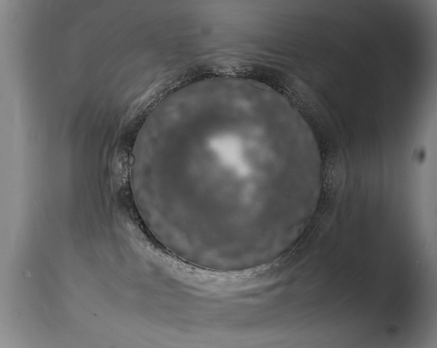 X0000113370043200909221233