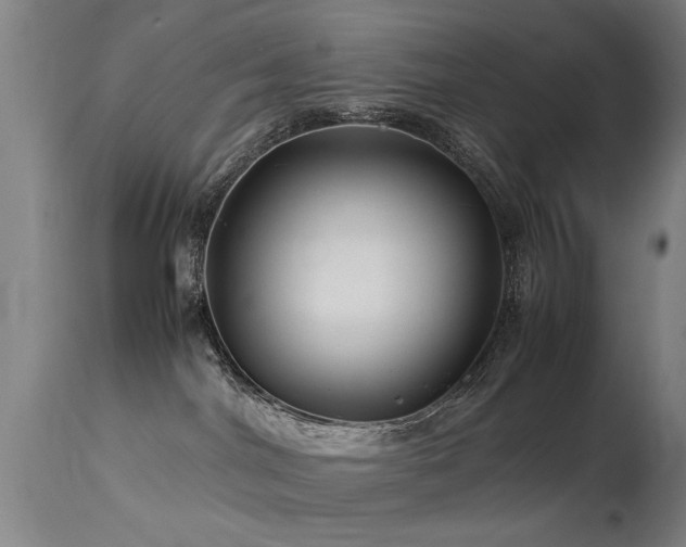 X0000113370044200909221233