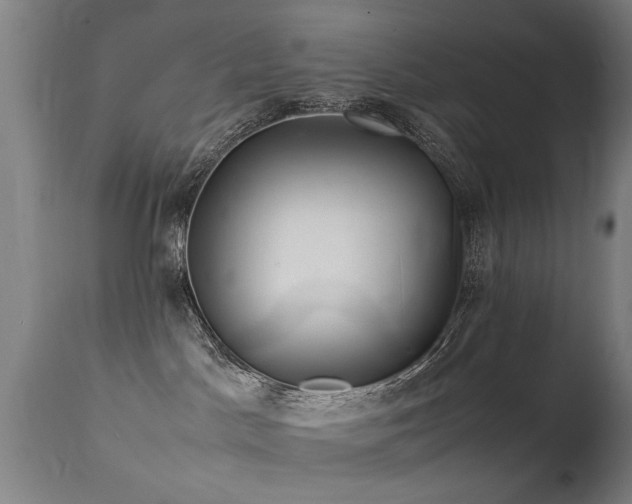 X0000113370045200909221233