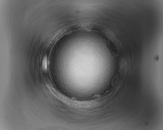 X0000113370046200909221233