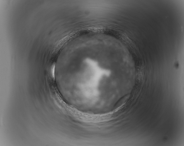 X0000113370047200909221233