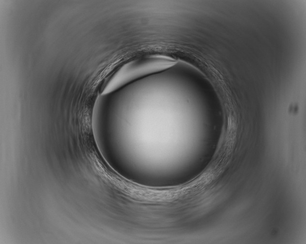 X0000113370048200909221233