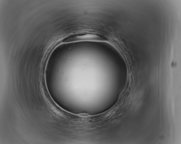 X0000113370049200909221232