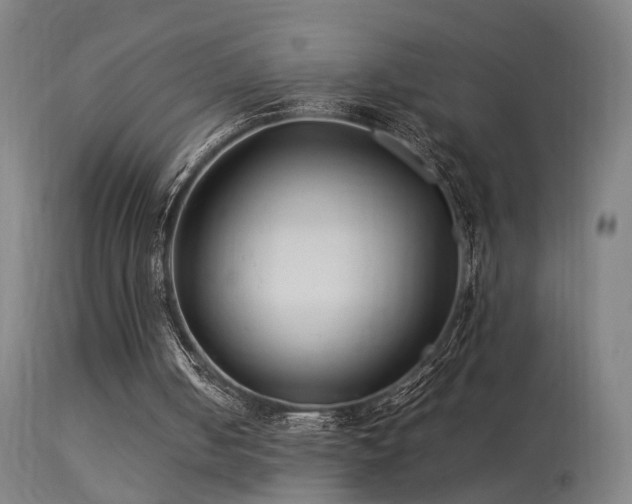 X0000113370050200909221232