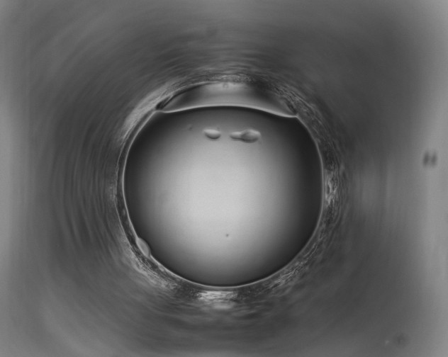 X0000113370051200909221232