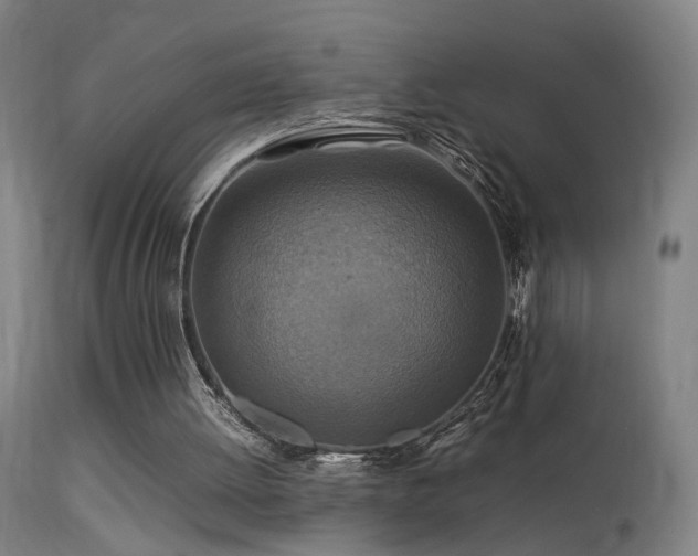 X0000113370052200909221232