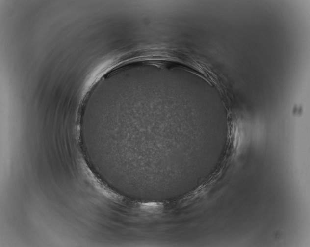 X0000113370053200909221232