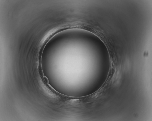 X0000113370054200909221232
