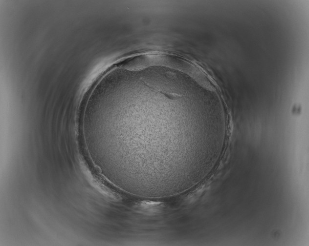 X0000113370055200909221232