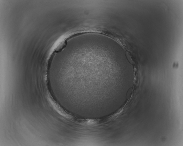 X0000113370056200909221232