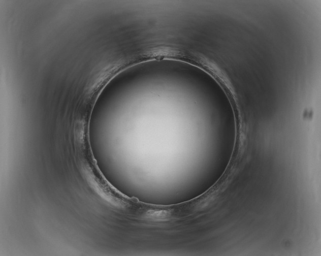 X0000113370057200909221232