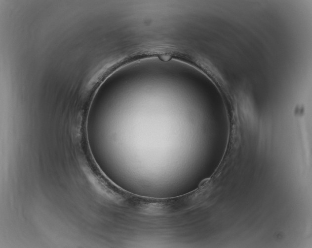 X0000113370058200909221233