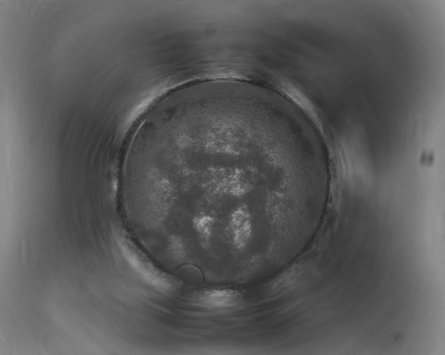 X0000113370059200909221233