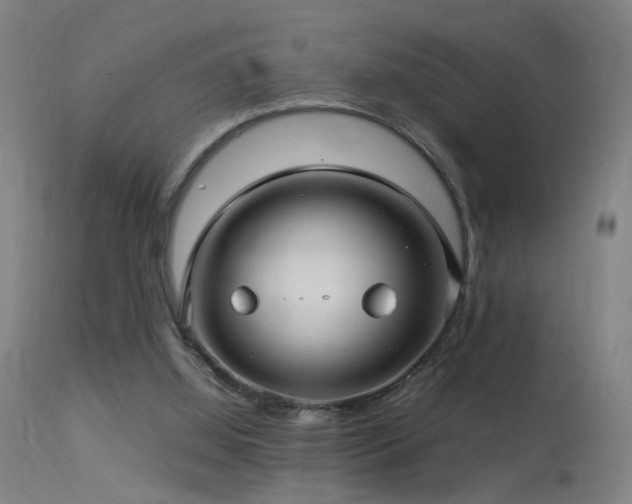 X0000113370060200909221233