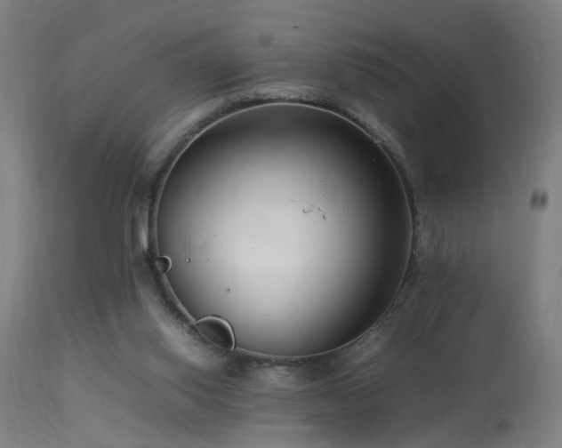 X0000113370062200909221233