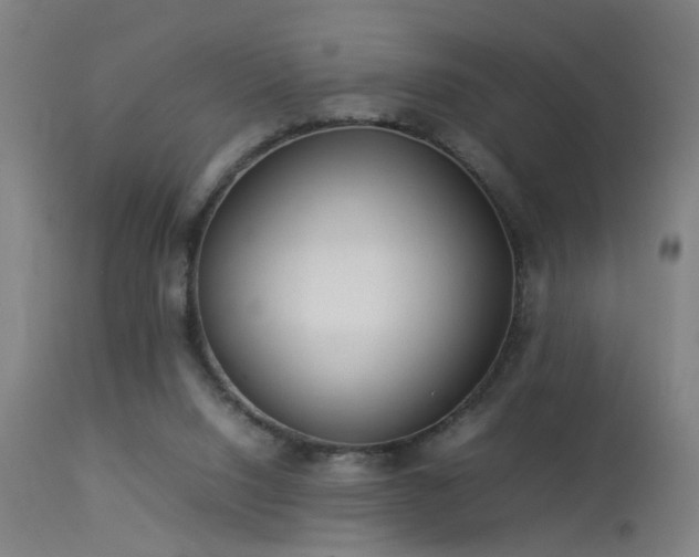 X0000113370064200909221233