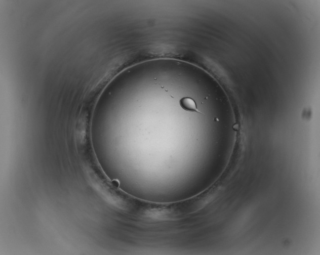 X0000113370065200909221233