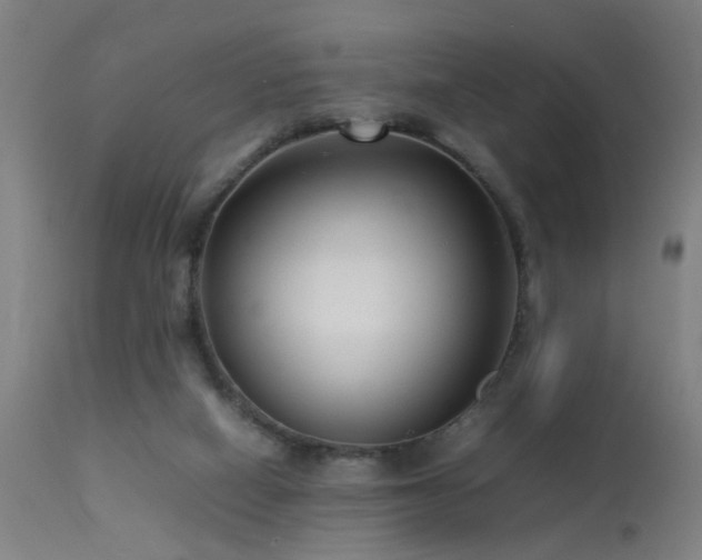 X0000113370066200909221233