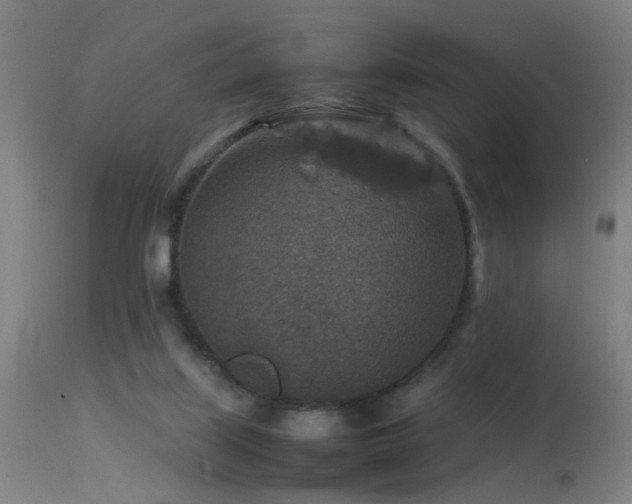 X0000113370067200909221233