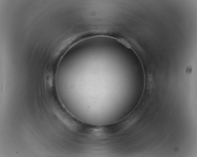 X0000113370068200909221233