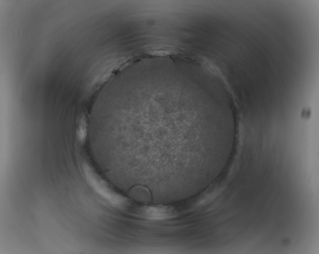 X0000113370069200909221233