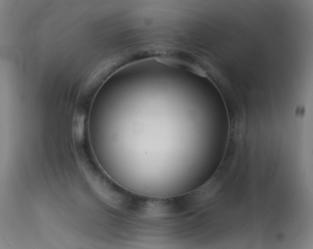 X0000113370070200909221233