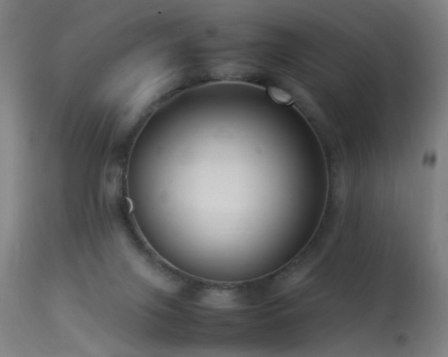 X0000113370071200909221233