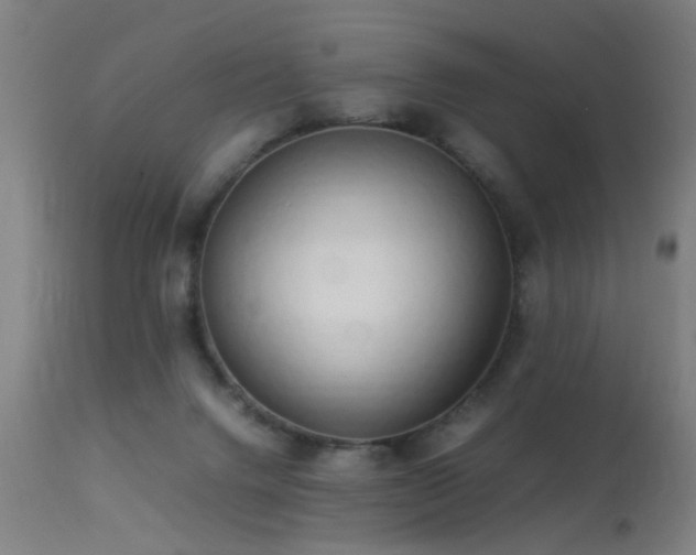 X0000113370072200909221233