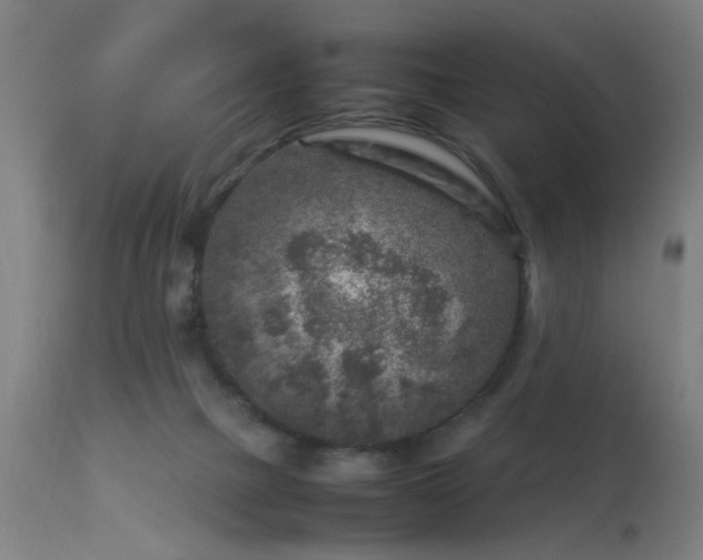 X0000113370073200909221233