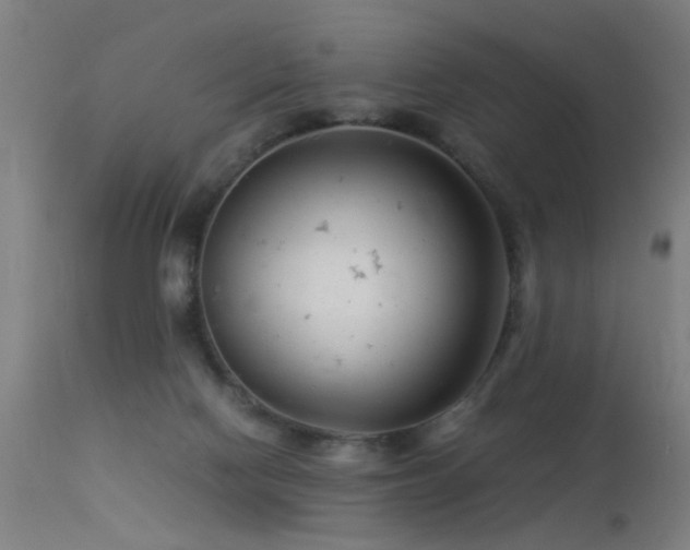 X0000113370074200909221233