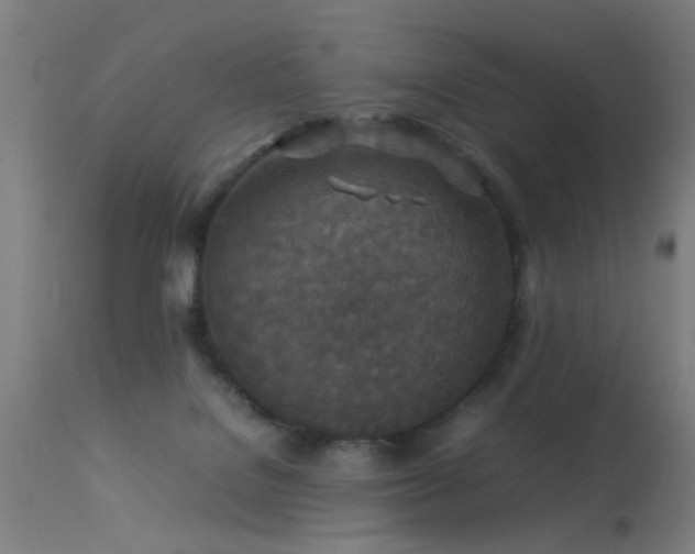 X0000113370076200909221233