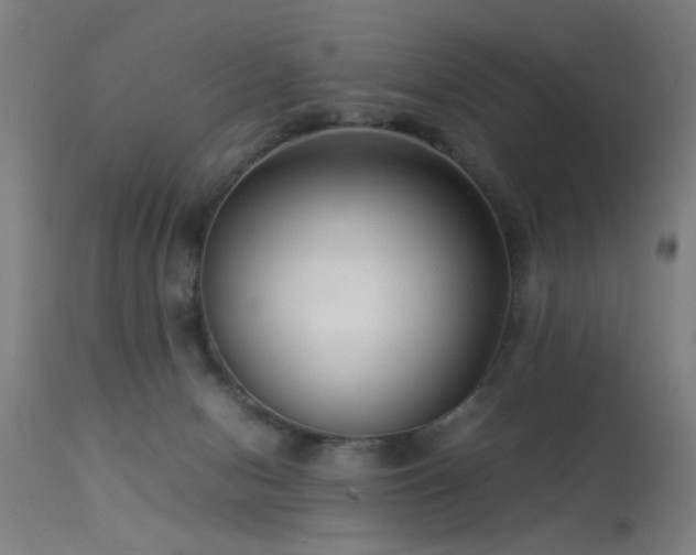 X0000113370078200909221233