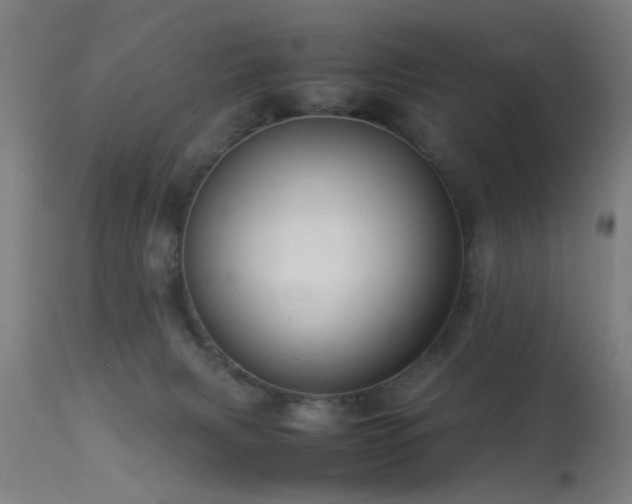 X0000113370079200909221233