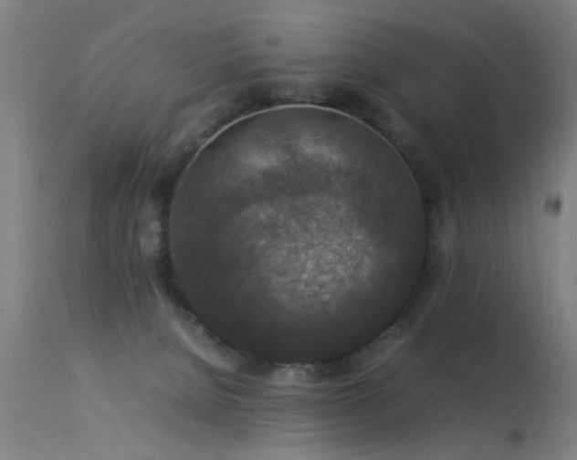 X0000113370080200909221233