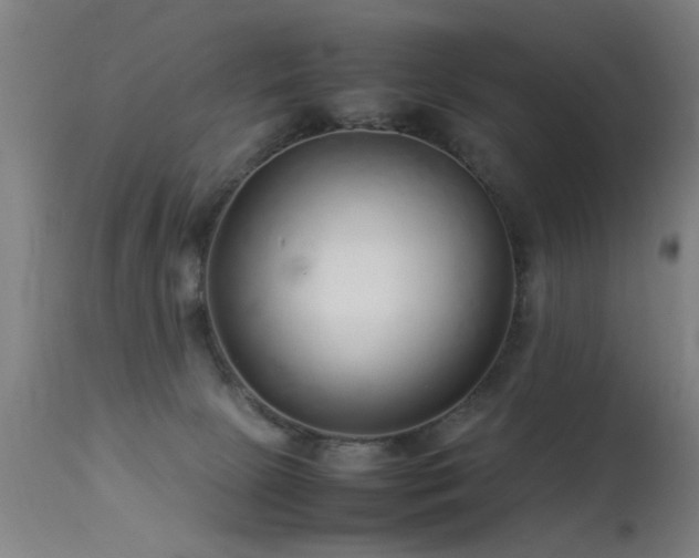 X0000113370081200909221233