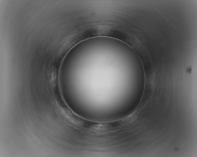 X0000113370082200909221233