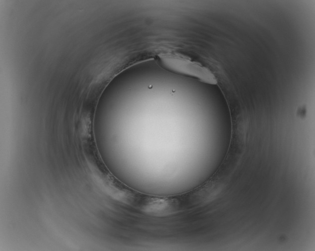 X0000113370083200909221233