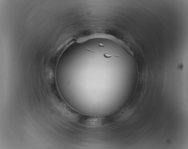 X0000113370084200909221233