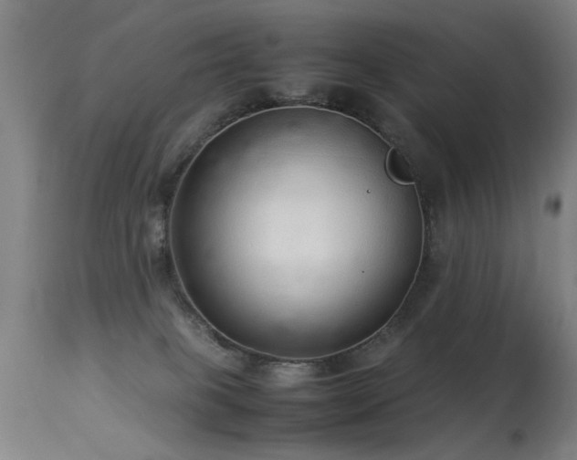 X0000113370085200909221233