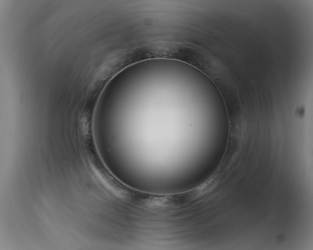 X0000113370086200909221233