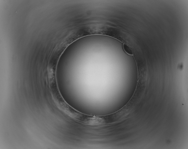 X0000113370087200909221233