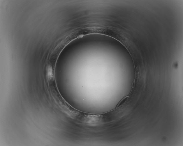 X0000113370089200909221233