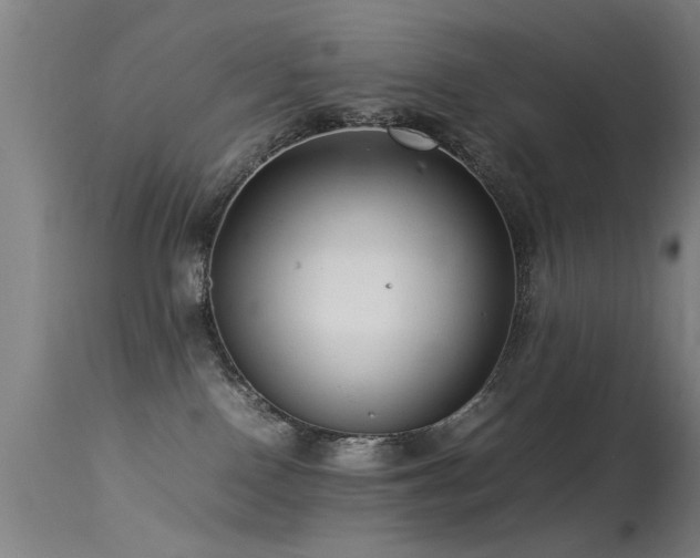 X0000113370090200909221233