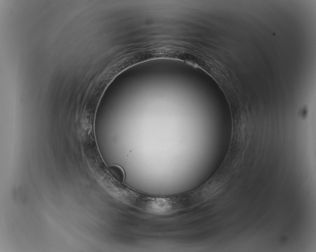 X0000113370091200909221233