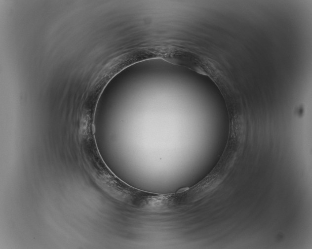 X0000113370092200909221233