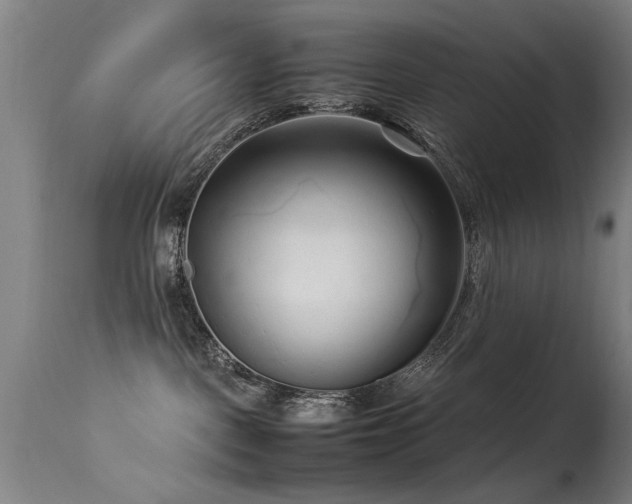 X0000113370093200909221233