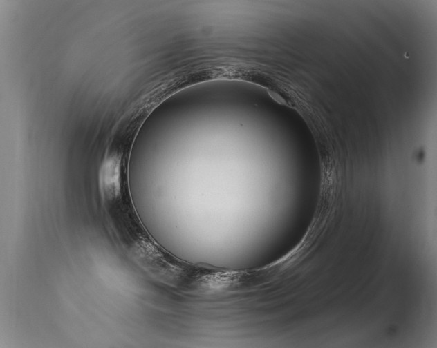 X0000113370094200909221233